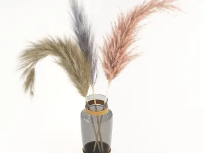 Pampas-grass three dried grasses in vase 3D model
