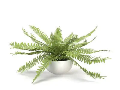 Faux Potted Fern Plant 10in  PBR 3D model