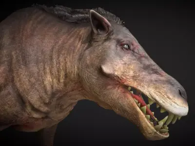 Daeodon Low-poly 3D model