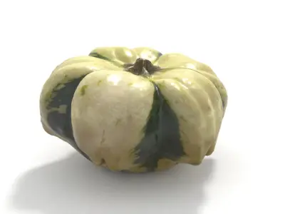 Decorative Gourd Pumpkin Squash Flower 3D Scan 3D model