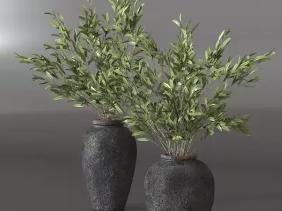Olive branches in vase 3D model 3D model