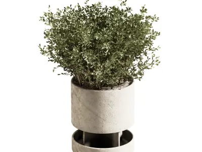 Indoor plant stant 79 3D model
