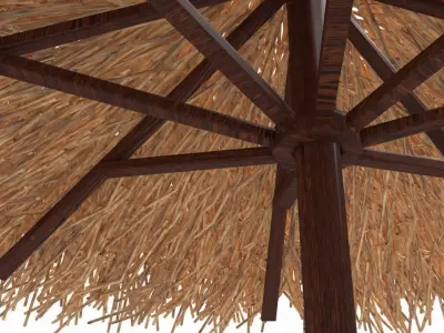 Bamboo Parasol 3D model