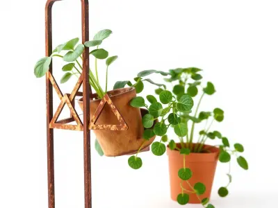 Indoor Decorative Planter with Metal Stand Model Pack Low-poly 3D model