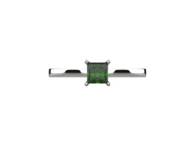 ring code 110 3D print model