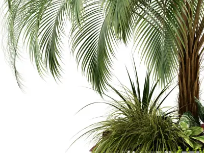 Plants collection 104 3D model