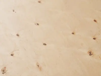 Plywood 02 Texture