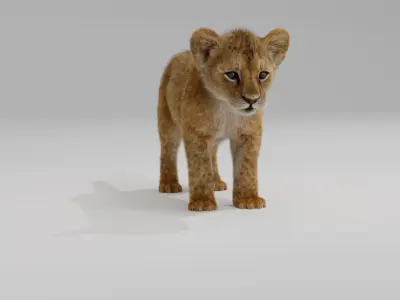 Young Lion Cup 3D model