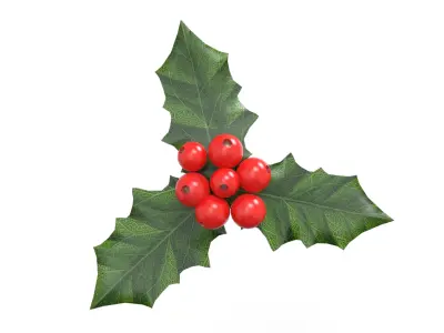 YOU Been Naughty Items For Christmas Low-poly 3D model