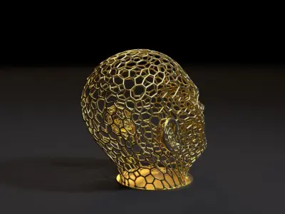 Head voronoi 2 3D print model