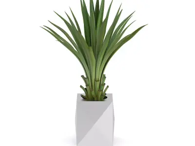 Small Palm in Metal Pot 3D model