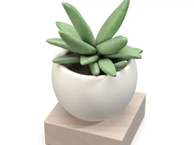 Mini Decorative Fake Succulent Artificial Plants PBR 3D model