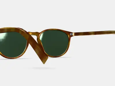 Butler Sunglasses in Butterscotch Tortoise 3D model