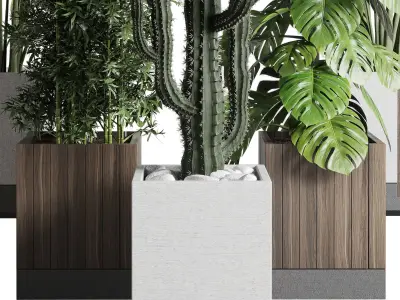 Indoor outdoor plant set 334 dirty wooden and concrete box Low-poly 3D model