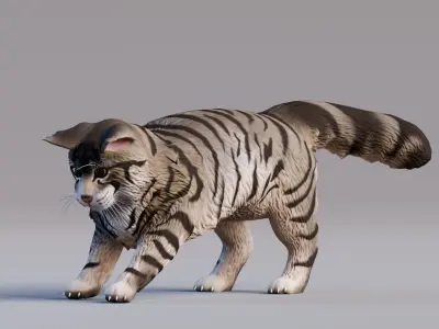 Low poly - Stylized cats - Maine Coon Cat Low-poly 3D model