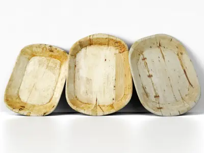 Sun Bleached Wood Trays 3D model