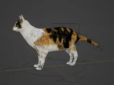 Calico Cat 3D model