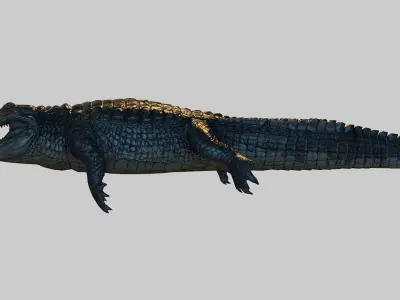 Alligator crocodile Low-poly 3D model