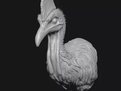Cassowary 3D print model