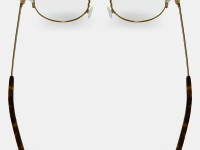 Patel Eyeglasses in Polished Gold with Chantilly 3D model