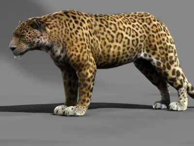 Leopard A jaguar - jaguar 3D model