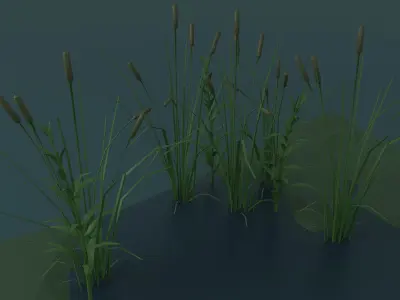 Witch house Low-poly 3D model