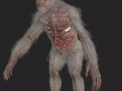 Laboratory Chimp with organ Low-poly 3D model