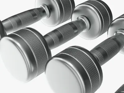 Dumbbell set chrome 3D model