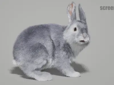 Rabbits Animated UNREAL project  Maya base rig 3D model