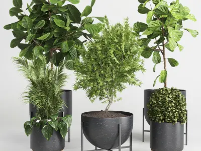 collection Indoor plant 32-marble vase Low-poly 3D model