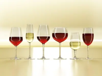 6 Wine glass Collection 3D model