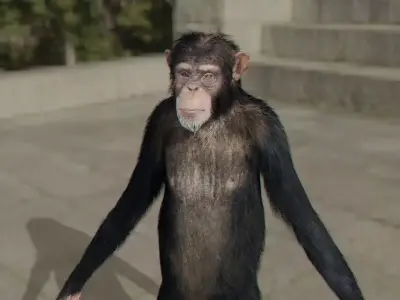 monkey chimpanzee on sidewalk 3D model