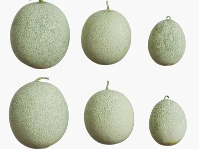 Cracked Bowl With Melons 3D model