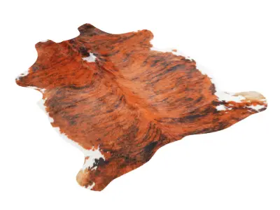 Tricolor Cowhide Rug A27021 3D model