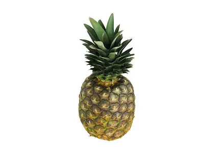Pineapple BLENDER 3D Model Cycles 3D model