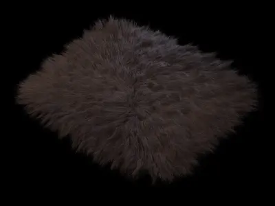 Skin sheepskin 02 3D model