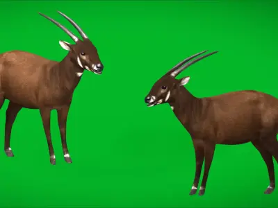 Saola Asian Unicorn Low-poly 3D model