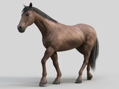 Horse PRO - Dark Brown 3D model