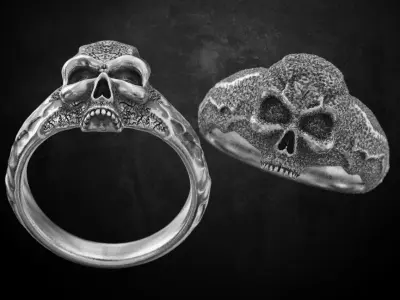 Ring with a skull two kinds of stylish decoration 169 3D print model