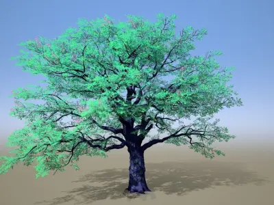Stylized Tree Vol 1 All in one Pack 3D model