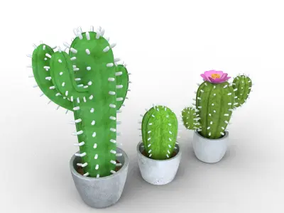 Potted Cactus 3D model