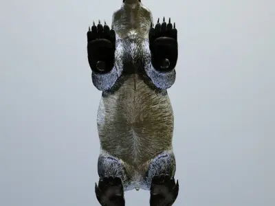 Panda -Lowpoly bear Low-poly 3D model