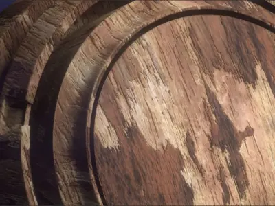 Oak Wood and Bark Texture