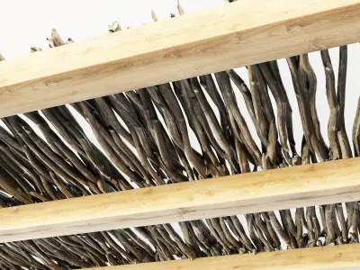 Ceiling wood old sang branch n1 3D model