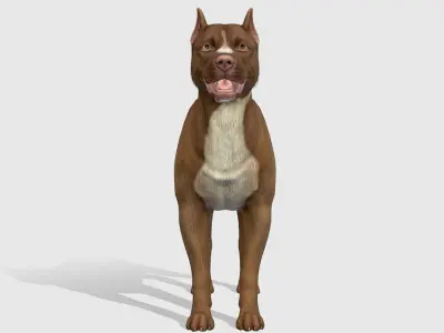 Dog - Pitbull Low-poly 3D model