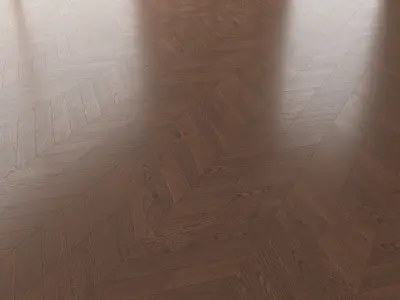  Parquet Oak Seal Brown WWL set 1 3D model