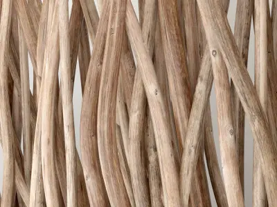 Planter random branch Big n1 3D model