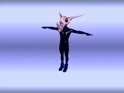 2 Toon Masks Low-poly 3D model