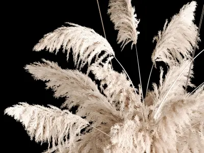 Hanging Bouquet Of Dry Reeds For Decoration 267 3D model