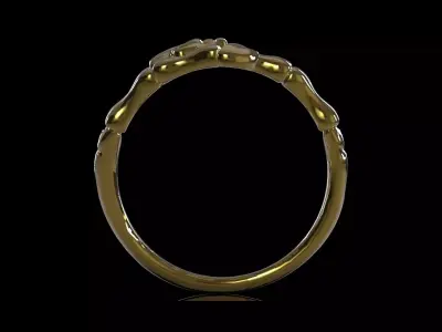 Bones of the skeleton hand stl 3d gold ring model gr0177 3D print model